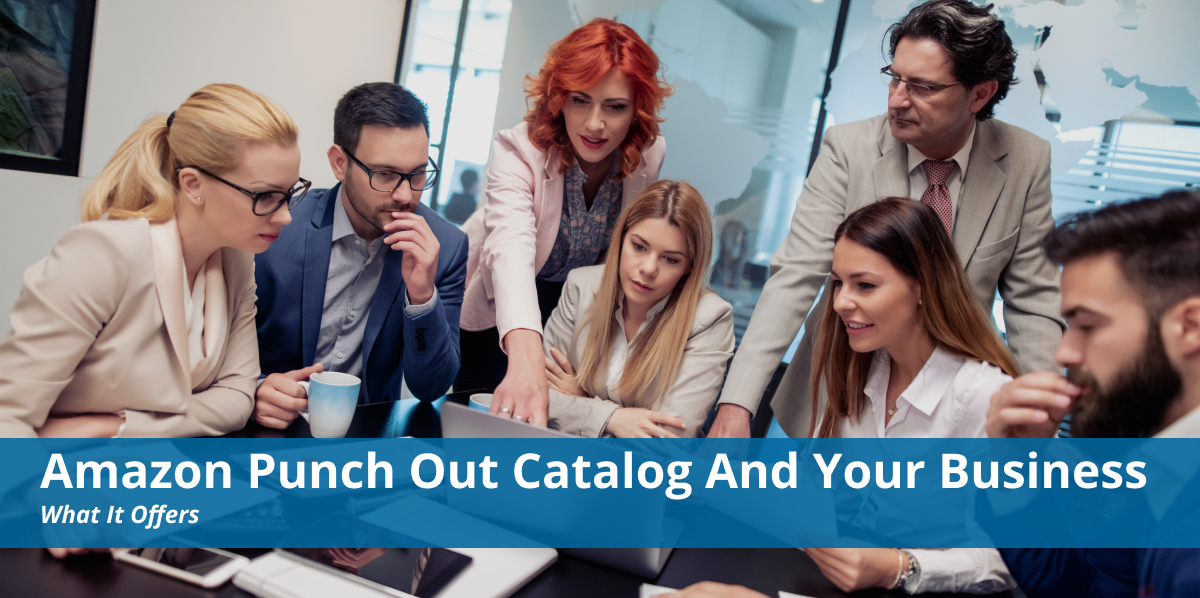 Amazon Punch Out Catalog and Your Business