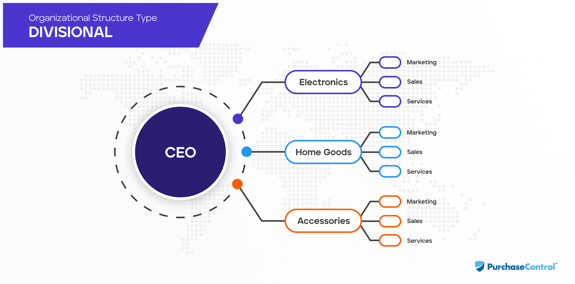 divisional-organizational structure
