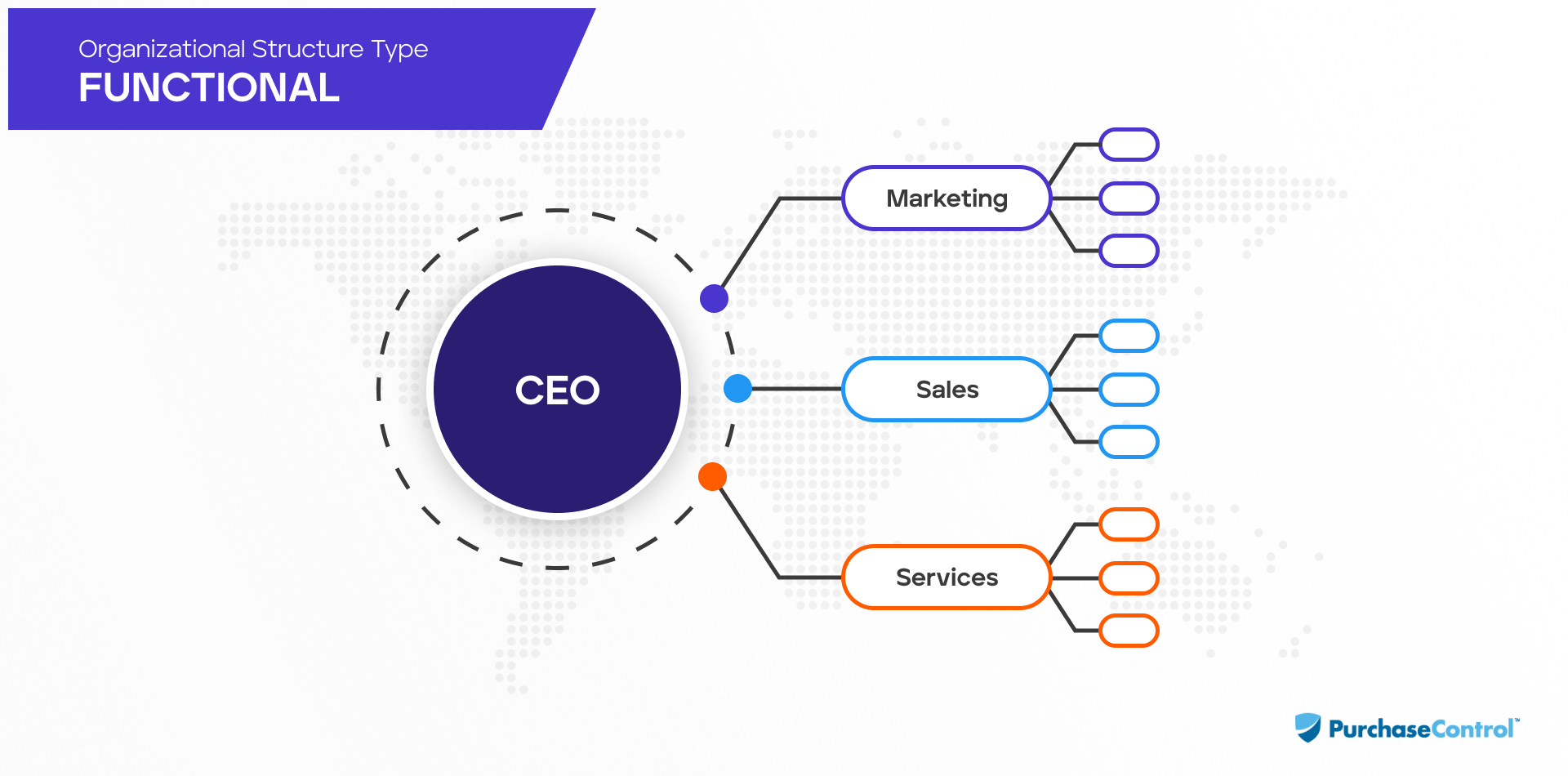 functional-organizational structure
